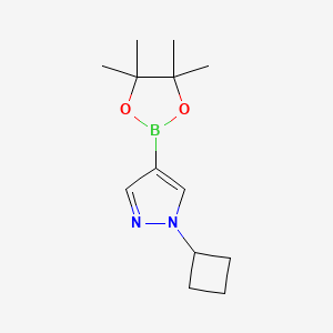 1-cyclobutyl-4-(4,4,5,5-tetramethyl-1,3,2-dioxaborolan-2-yl)pyrazole CAS 1002309-48-9