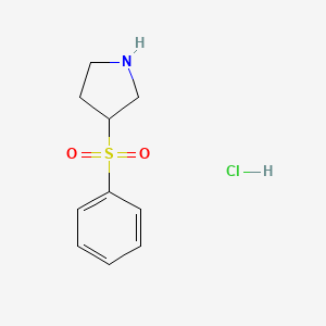 3-(benzenesulfonyl)pyrrolidine;hydrochloride CAS 1003562-01-3