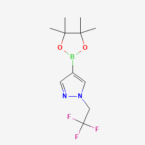 4-(4,4,5,5-tetramethyl-1,3,2-dioxaborolan-2-yl)-1-(2,2,2-trifluoroethyl)pyrazole CAS 1049730-42-8