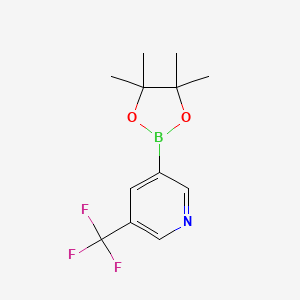 3-(4,4,5,5-tetramethyl-1,3,2-dioxaborolan-2-yl)-5-(trifluoromethyl)pyridine CAS 1084953-47-8