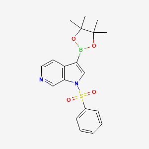 1-(benzenesulfonyl)-3-(4,4,5,5-tetramethyl-1,3,2-dioxaborolan-2-yl)pyrrolo[2,3-c]pyridine CAS 1174038-65-3
