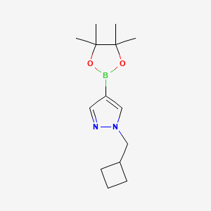 1-(cyclobutylmethyl)-4-(4,4,5,5-tetramethyl-1,3,2-dioxaborolan-2-yl)pyrazole CAS 1233526-47-0