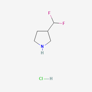 3-(difluoromethyl)pyrrolidine;hydrochloride CAS 1376176-56-5