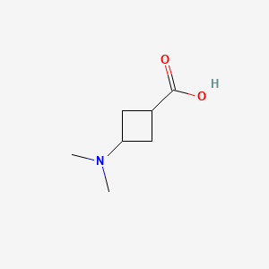 3-(dimethylamino)cyclobutane-1-carboxylic acid CAS 1628252-12-9