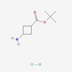 tert-butyl 3-aminocyclobutane-1-carboxylate;hydrochloride CAS 2173637-24-4