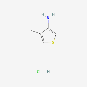 4-methylthiophen-3-amine;hydrochloride CAS 24030-00-0