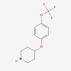 4-[4-(trifluoromethoxy)phenoxy]piperidine CAS 287952-67-4
