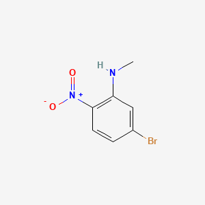 5-bromo-N-methyl-2-nitroaniline CAS 302800-13-1