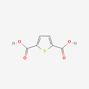 thiophene-2,5-dicarboxylic acid CAS 4282-31-9