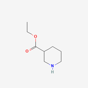 ethyl piperidine-3-carboxylate CAS 5006-62-2