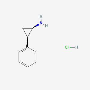 cis-(1R,2R)-2-phenylcyclopropan-1-amine;hydrochloride CAS 54779-58-7