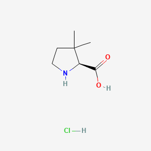 (2S)-3,3-dimethylpyrrolidine-2-carboxylic acid;hydrochloride CAS 61406-78-8