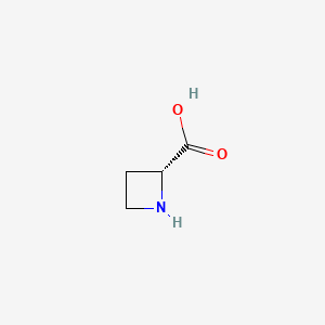 (2R)-azetidine-2-carboxylic acid CAS 7729-30-8