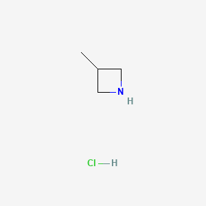 3-methylazetidine;hydrochloride CAS 935669-28-6