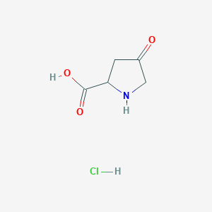 4-oxopyrrolidine-2-carboxylic acid;hydrochloride CAS 98142-78-0